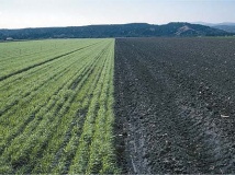 Obrázok ku kategórii:  Stroje na spracovanie pôdy a sejbu